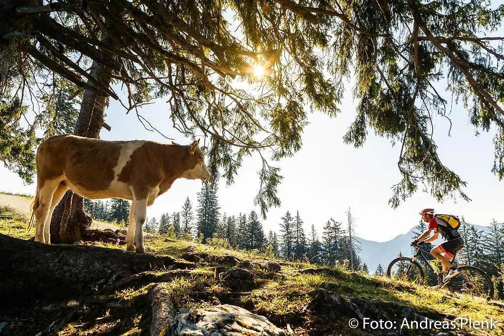 Ferienwohnungen Gastager Ruhpolding 0*,